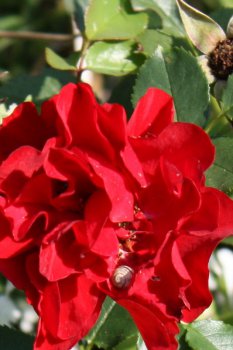 img_2674 img_2674
