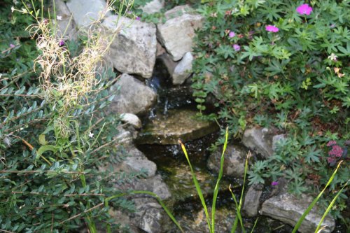 img_2679 img_2679